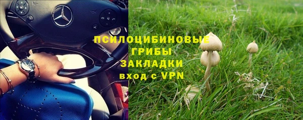 PSILOCYBIN Балахна