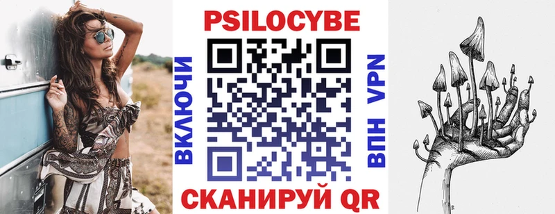 Галлюциногенные грибы Psilocybe  купить закладку  даркнет какой сайт  Сим 